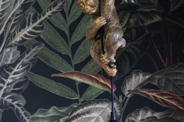 Leinfelden-Echterdingen  Meeting room Monkey Lounge image 2