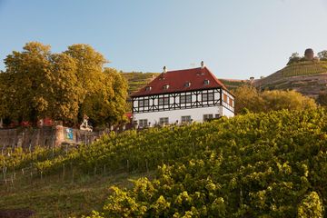 Dresden  Historisches Gebäude Winzersaal image 3