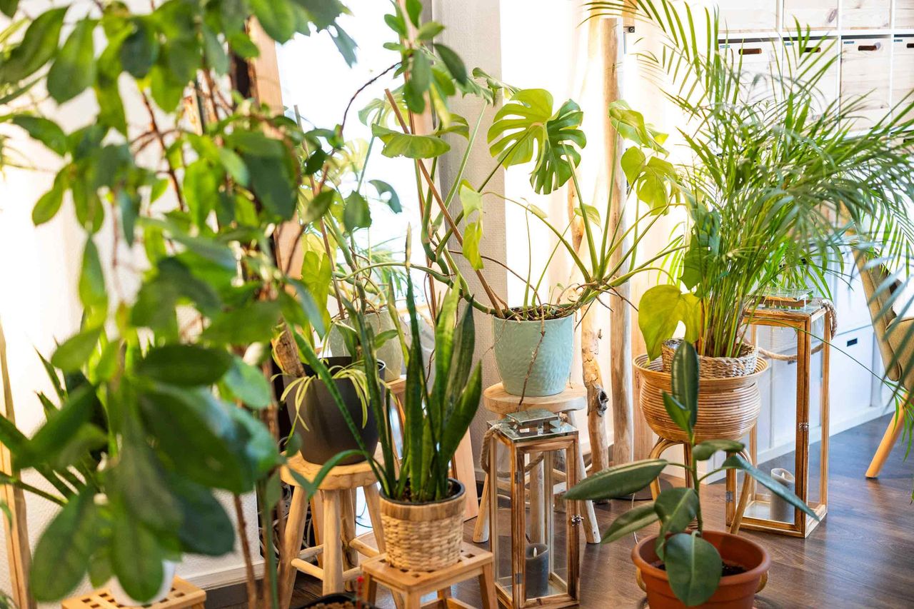 Stuttgart Mobiles Arbeiten Tagungsräume LUNCA - Kreativraumvermietung Stuttgart West image 38